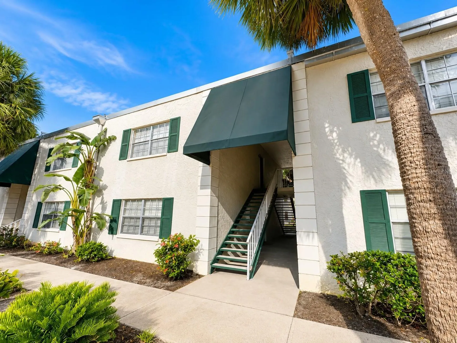 4325 Aegean Drive Tampa FL 33611