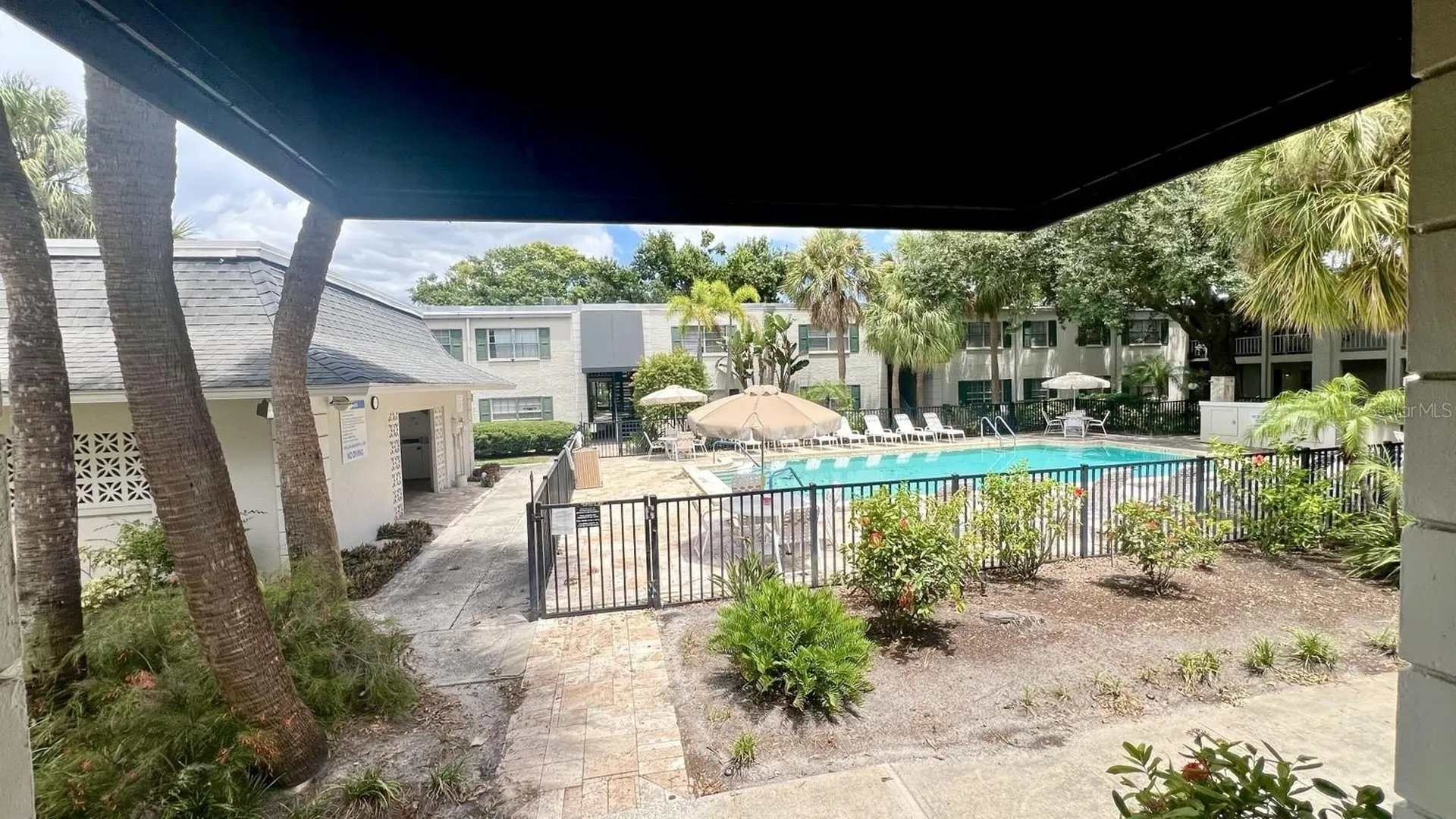 4325 Aegean Drive Tampa FL 33611