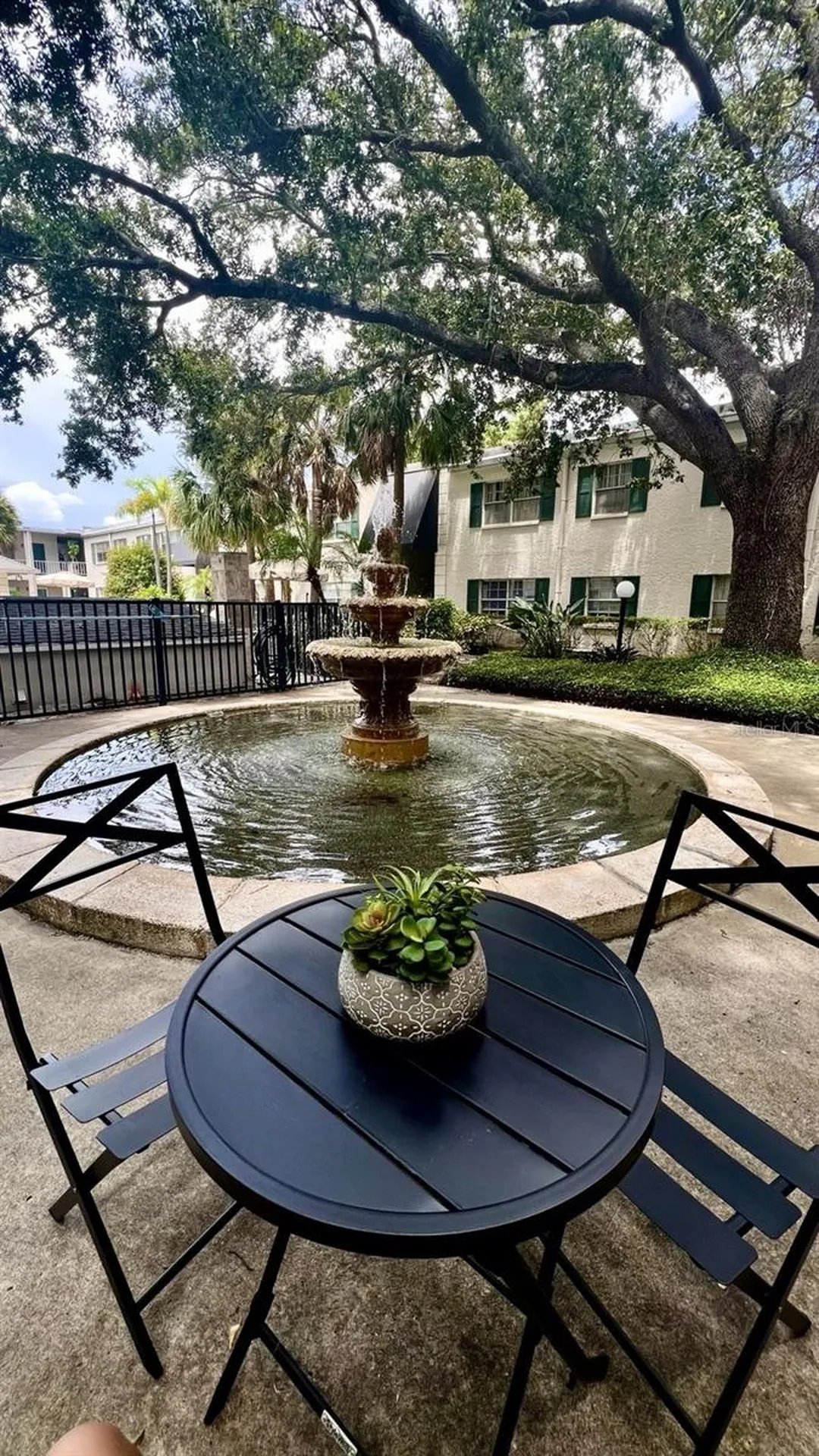 4325 Aegean Drive Tampa FL 33611