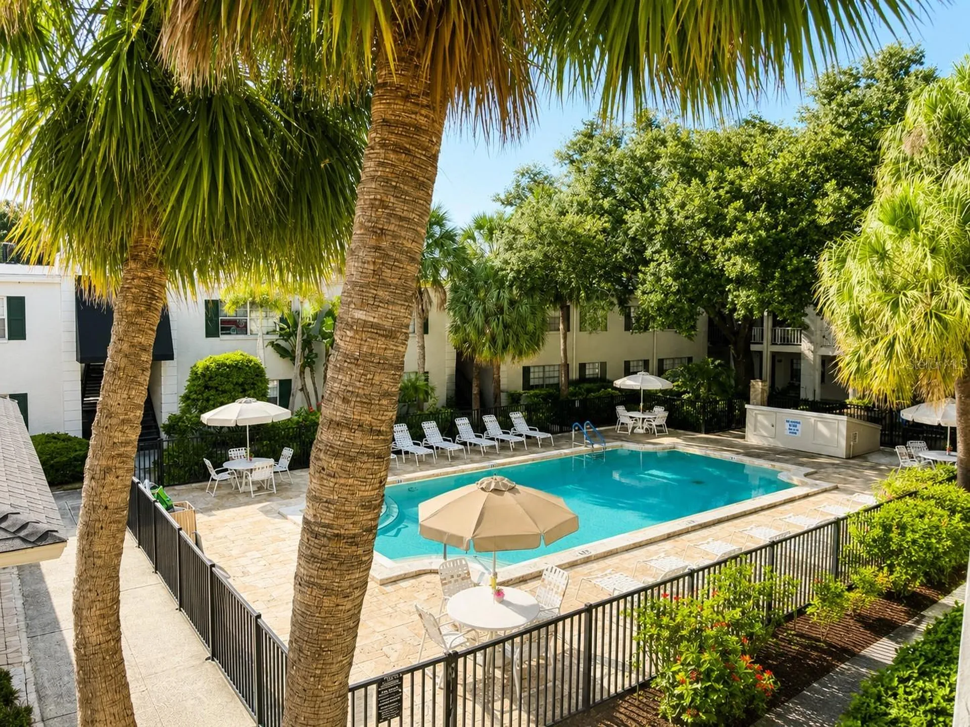 4325 Aegean Drive Tampa FL 33611