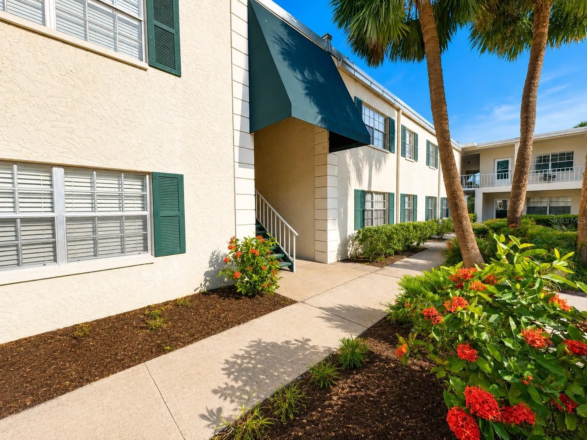 4325 Aegean Drive Tampa FL 33611