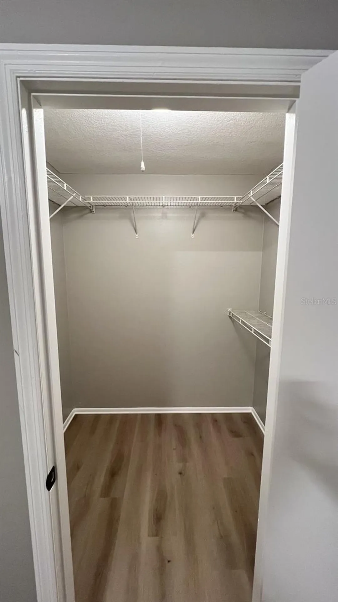 4325 Aegean Drive Tampa FL 33611