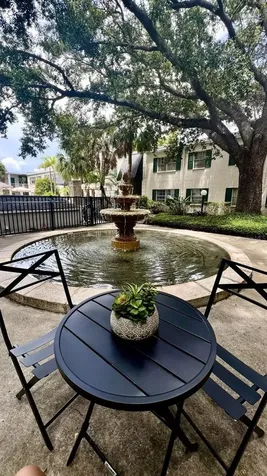 4325 Aegean Drive Tampa FL 33611