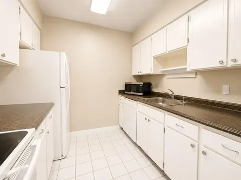 4325 Aegean Drive Tampa FL 33611