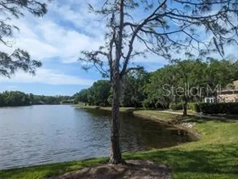 6535 Meandering Way Lakewood Ranch FL 34202