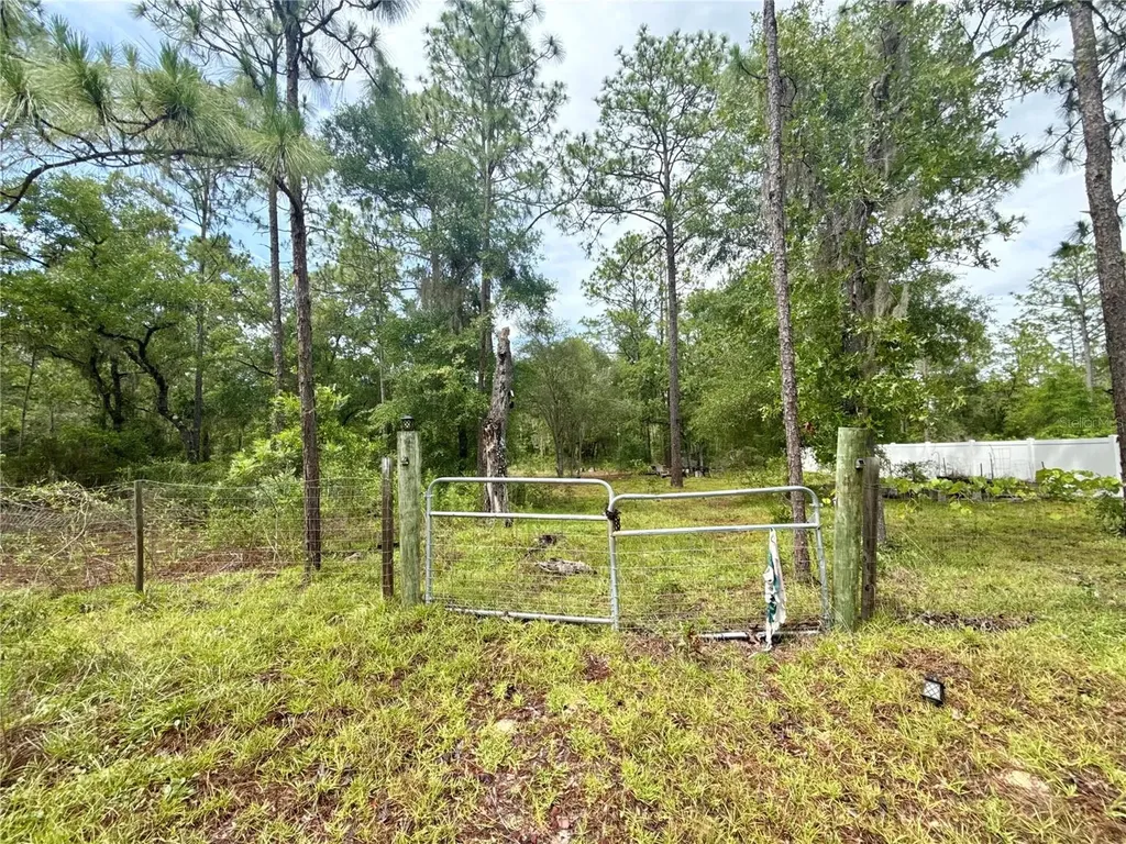 Tbd NE 3rd Place Williston FL 32696