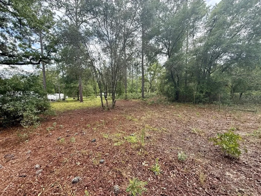 Tbd NE 3rd Place Williston FL 32696