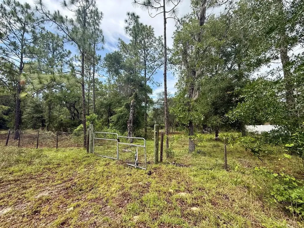 Tbd NE 3rd Place Williston FL 32696