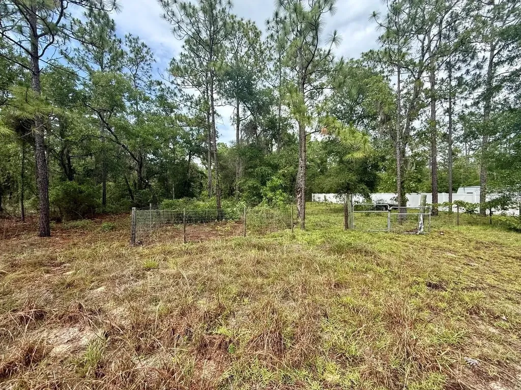 Tbd NE 3rd Place Williston FL 32696