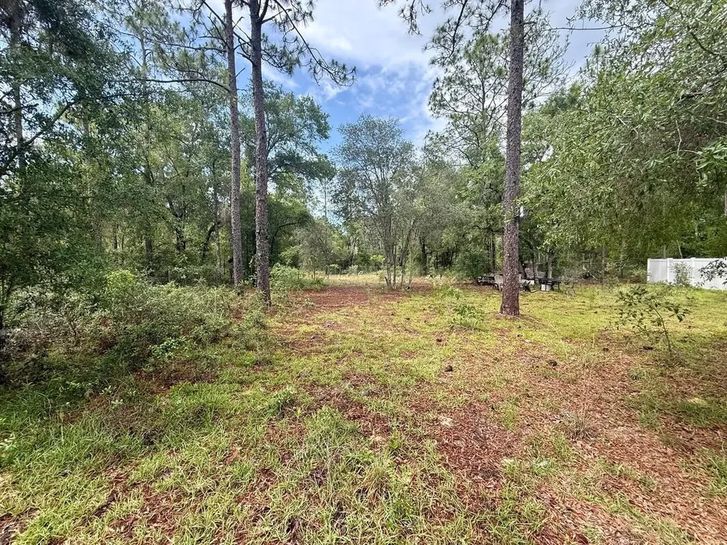 Tbd NE 3rd Place Williston FL 32696