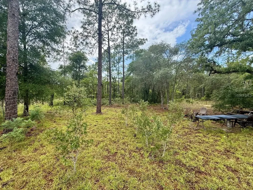 Tbd NE 3rd Place Williston FL 32696