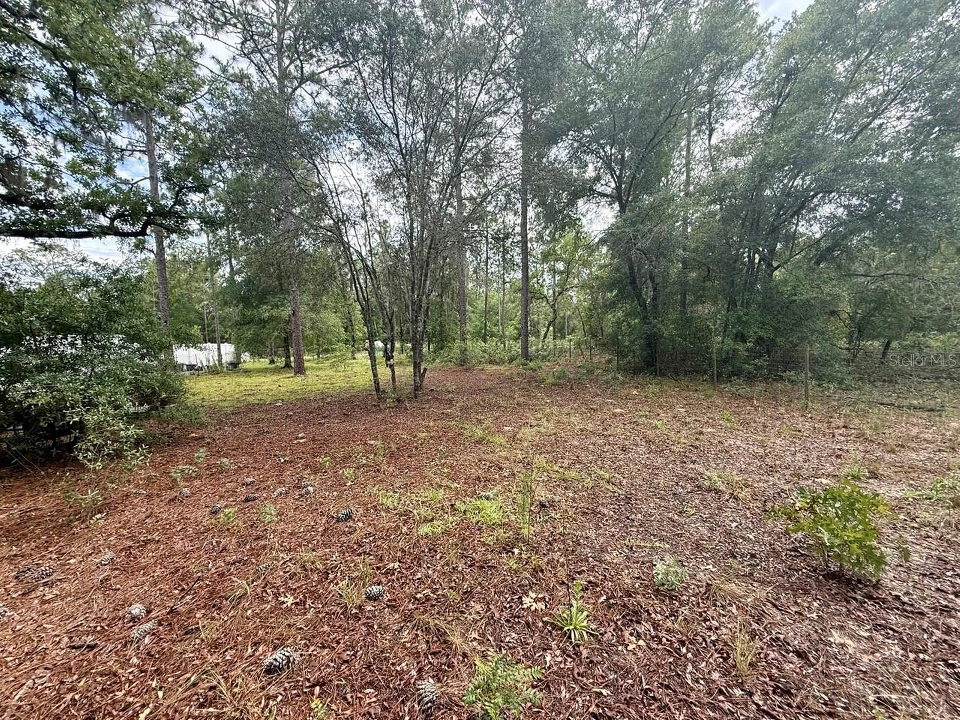 Tbd NE 3rd Place Williston FL 32696
