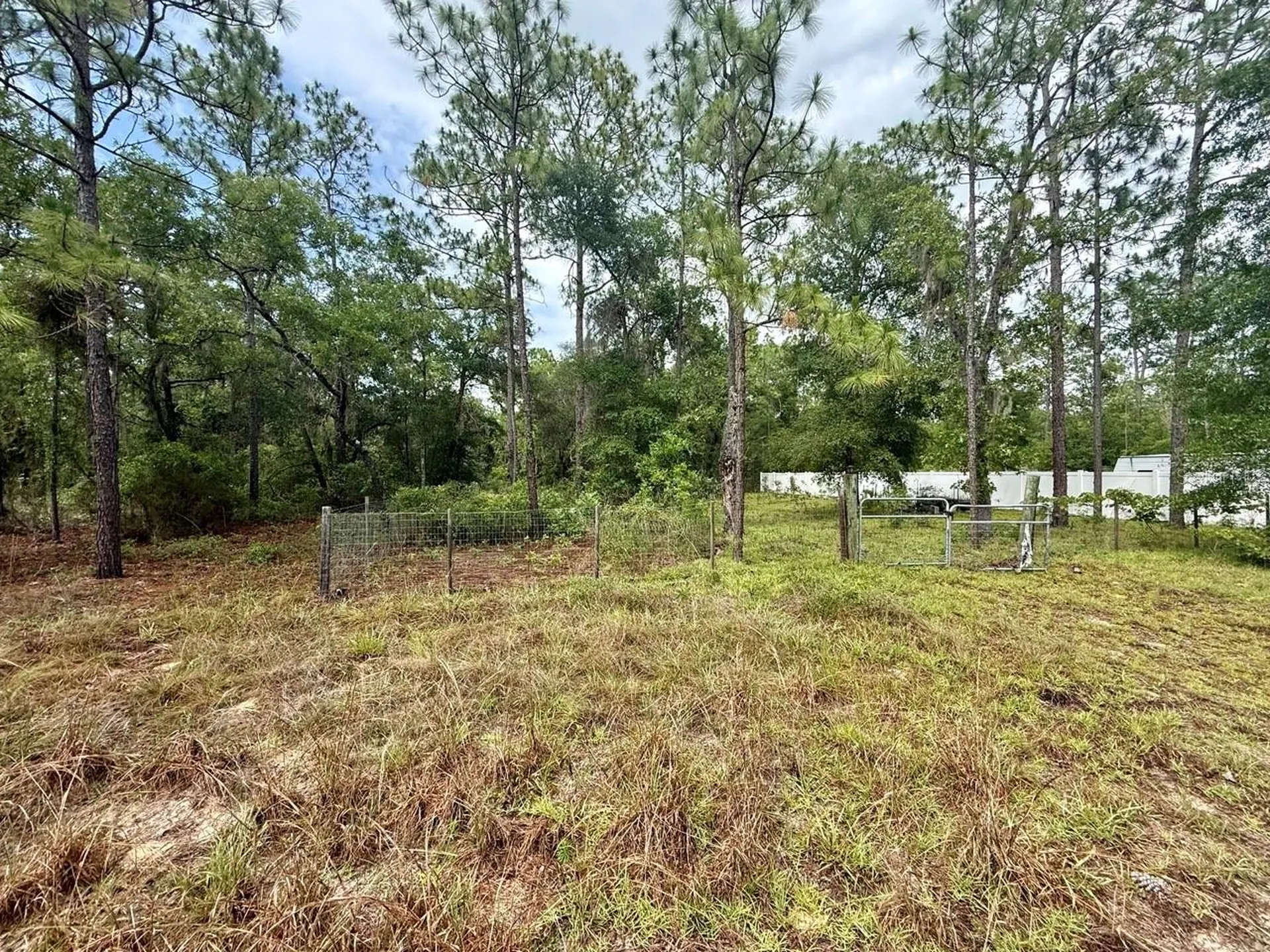 Tbd NE 3rd Place Williston FL 32696