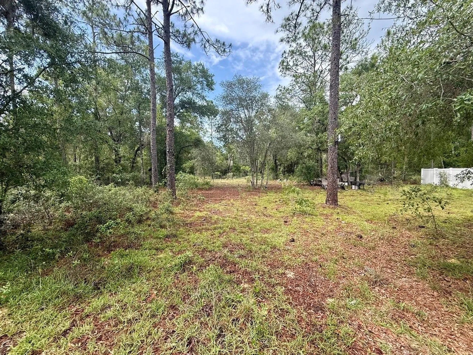 Tbd NE 3rd Place Williston FL 32696