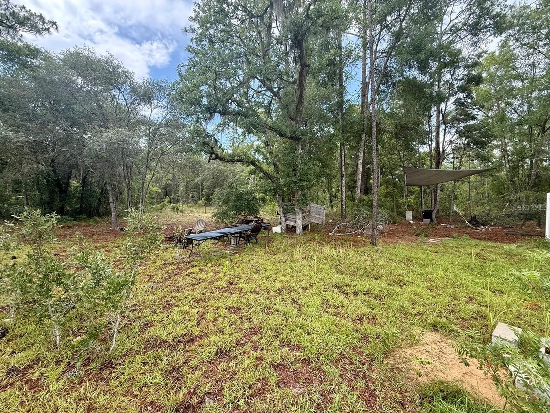Tbd NE 3rd Place Williston FL 32696