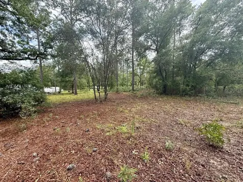 Tbd NE 3rd Place Williston FL 32696