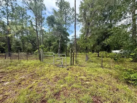 Tbd NE 3rd Place Williston FL 32696