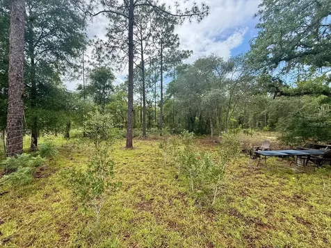 Tbd NE 3rd Place Williston FL 32696