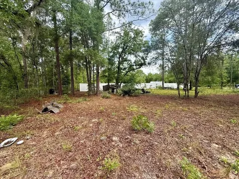 Tbd NE 3rd Place Williston FL 32696