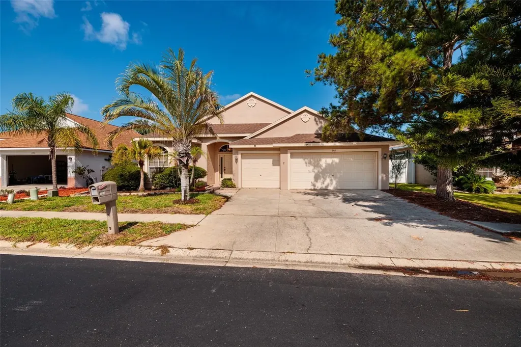 1805 Wood Bend Street Tarpon Springs FL 34689