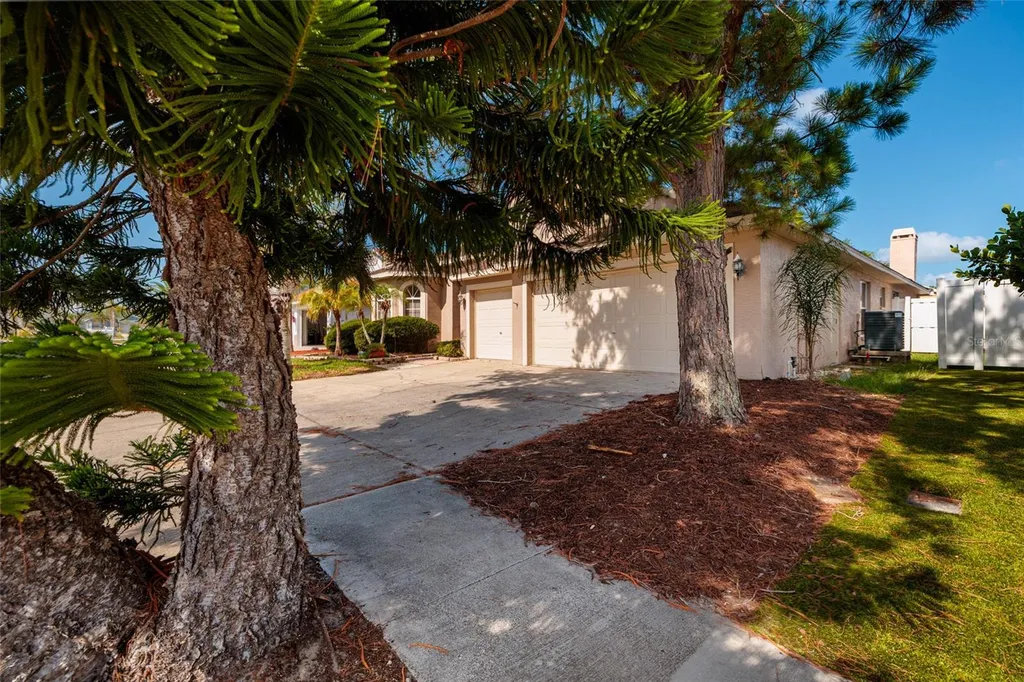 1805 Wood Bend Street Tarpon Springs FL 34689