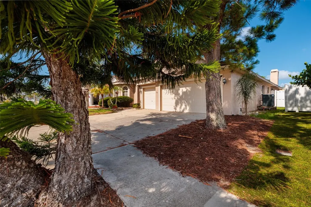 1805 Wood Bend Street Tarpon Springs FL 34689
