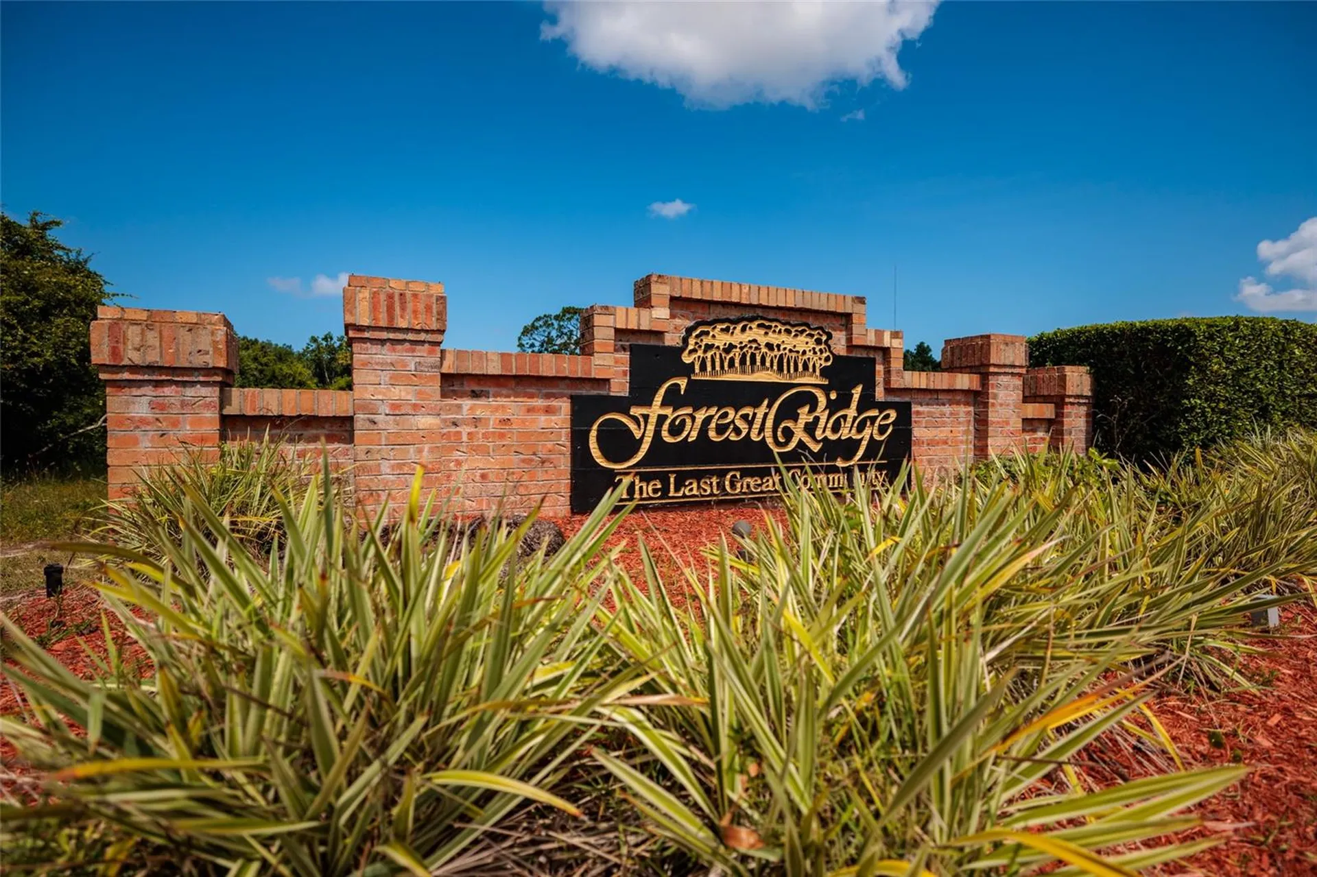 1805 Wood Bend Street Tarpon Springs FL 34689
