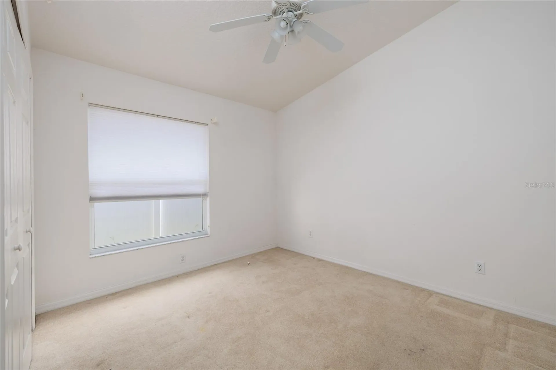 1805 Wood Bend Street Tarpon Springs FL 34689