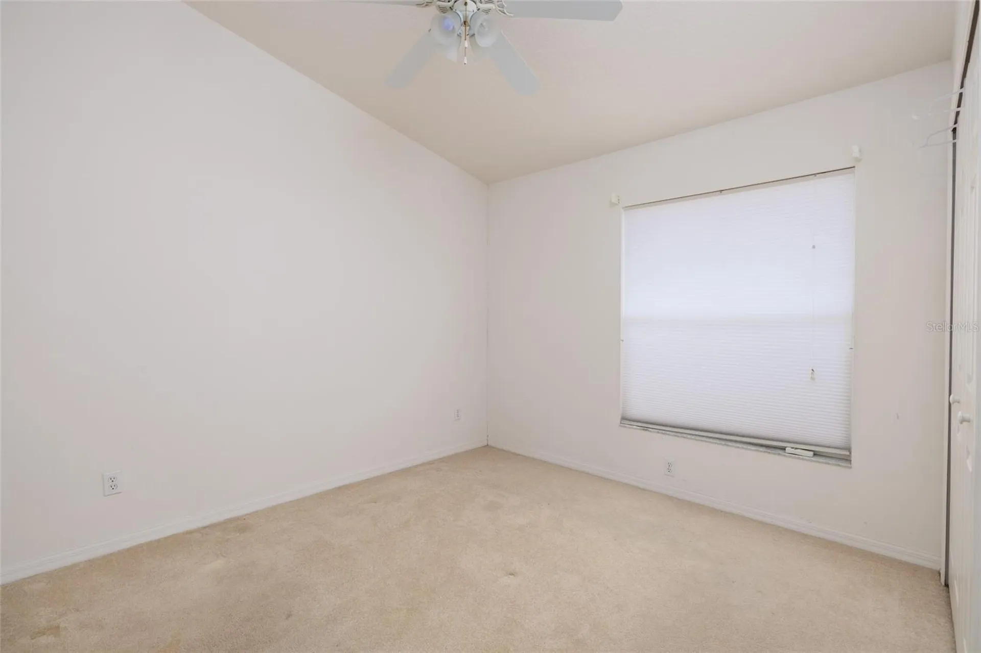 1805 Wood Bend Street Tarpon Springs FL 34689