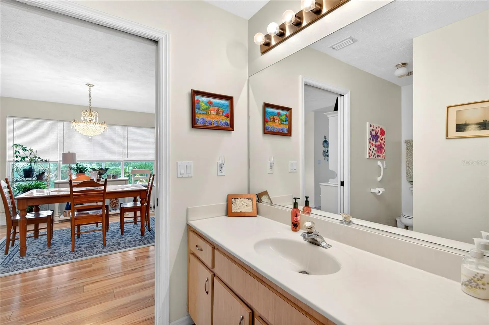 17520 SE 112th Avenue Summerfield FL 34491
