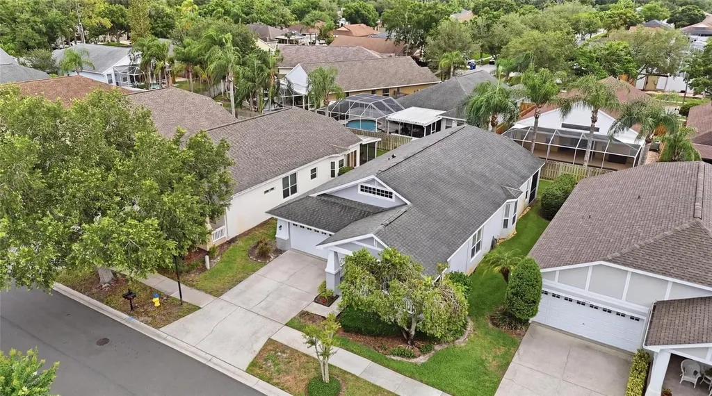 4613 Corsage Drive Lutz FL 33558