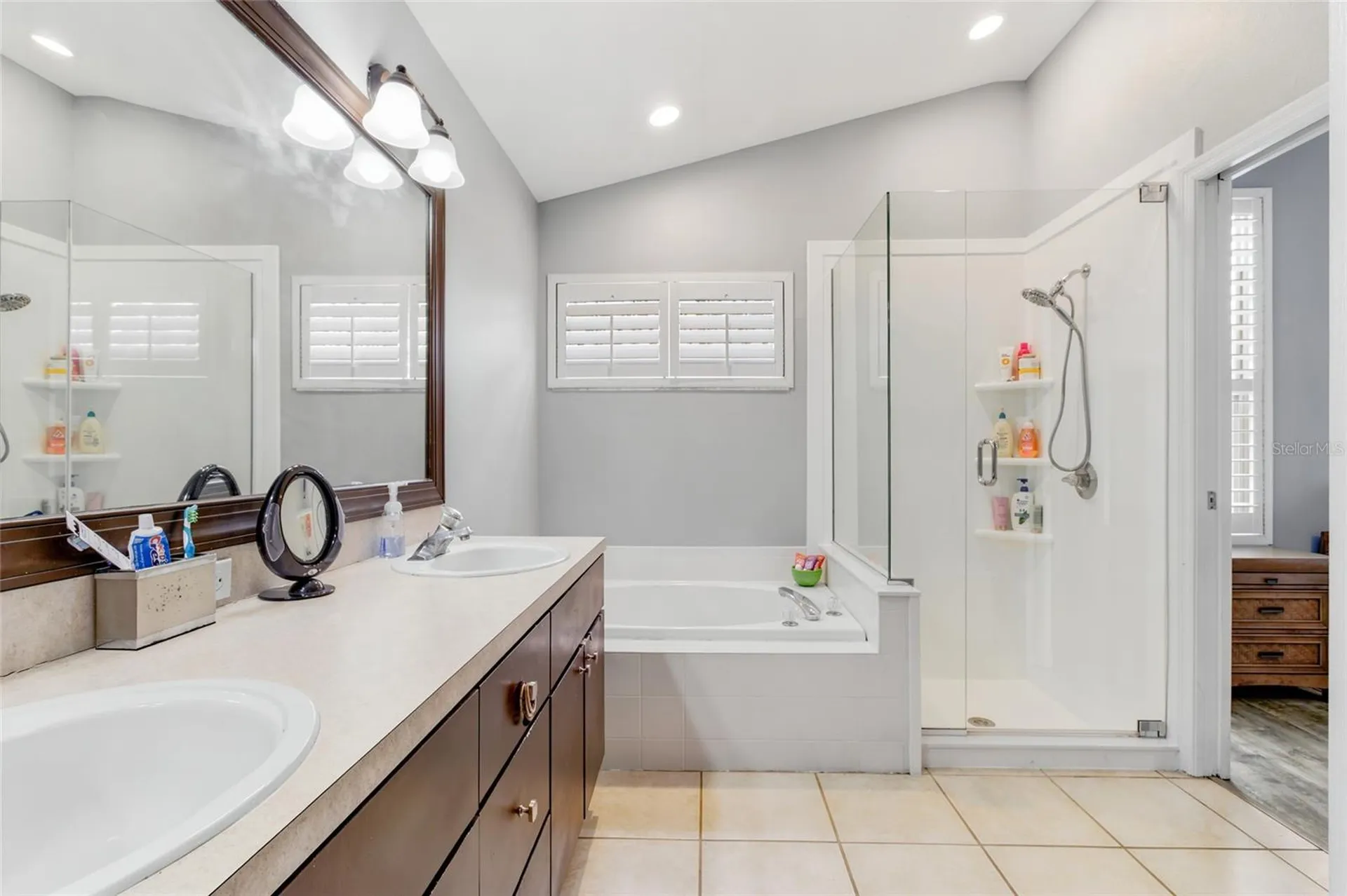 4613 Corsage Drive Lutz FL 33558
