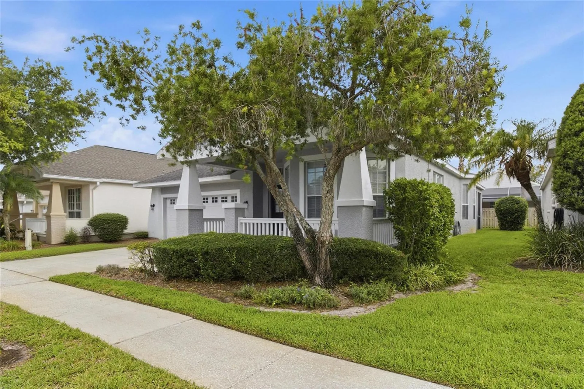 4613 Corsage Drive Lutz FL 33558