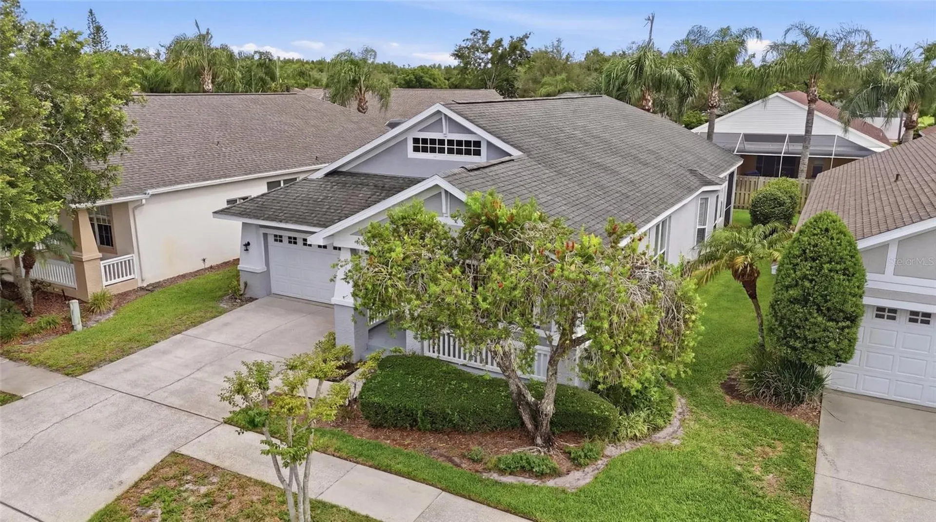 4613 Corsage Drive Lutz FL 33558