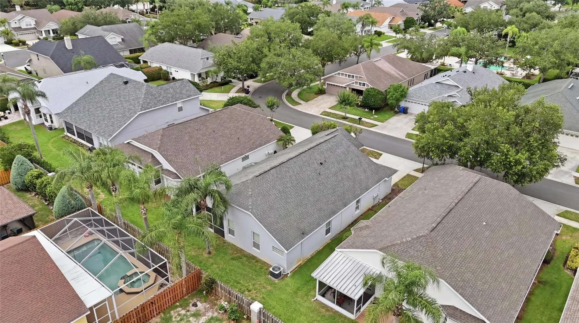 4613 Corsage Drive Lutz FL 33558