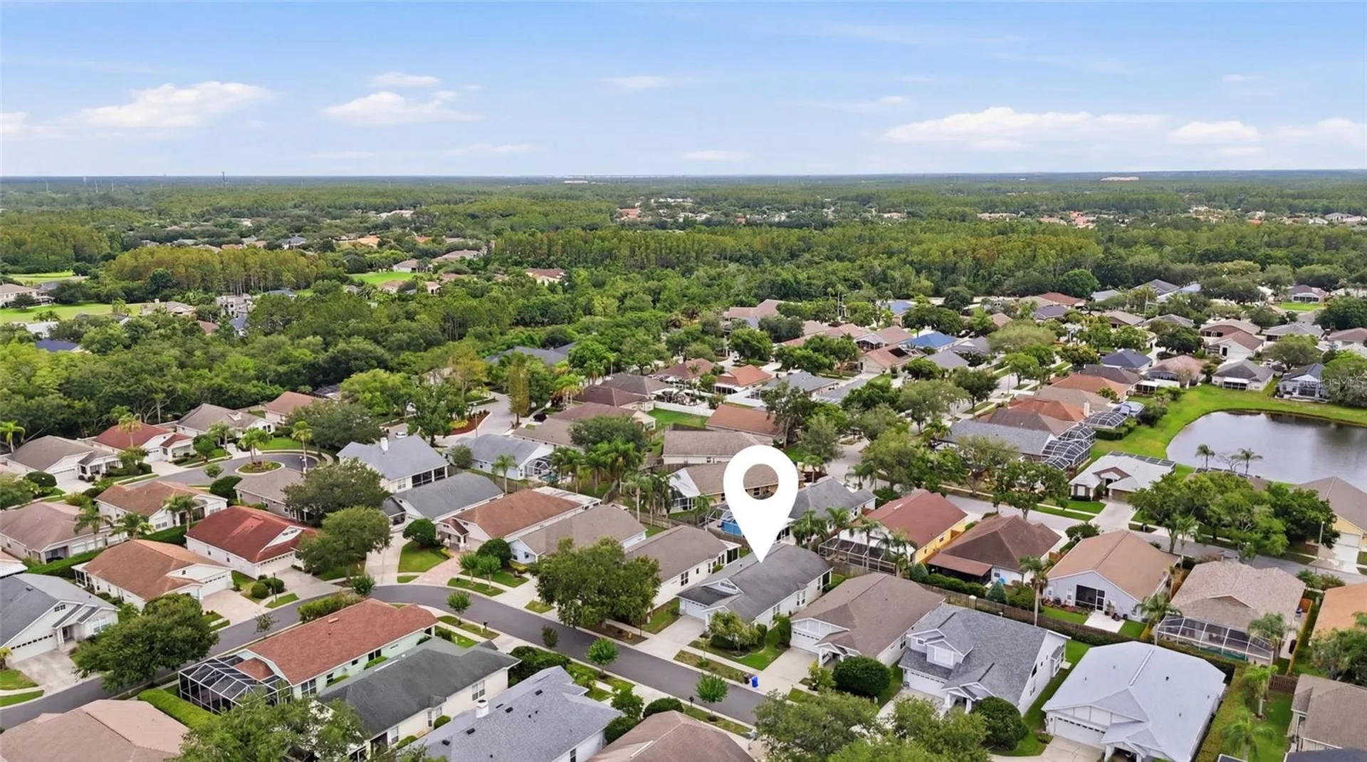 4613 Corsage Drive Lutz FL 33558