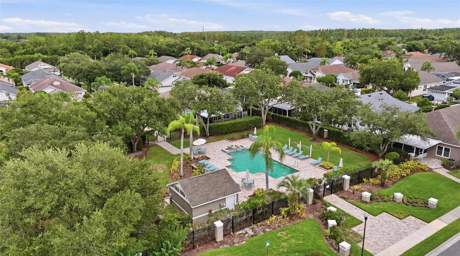 4613 Corsage Drive Lutz FL 33558