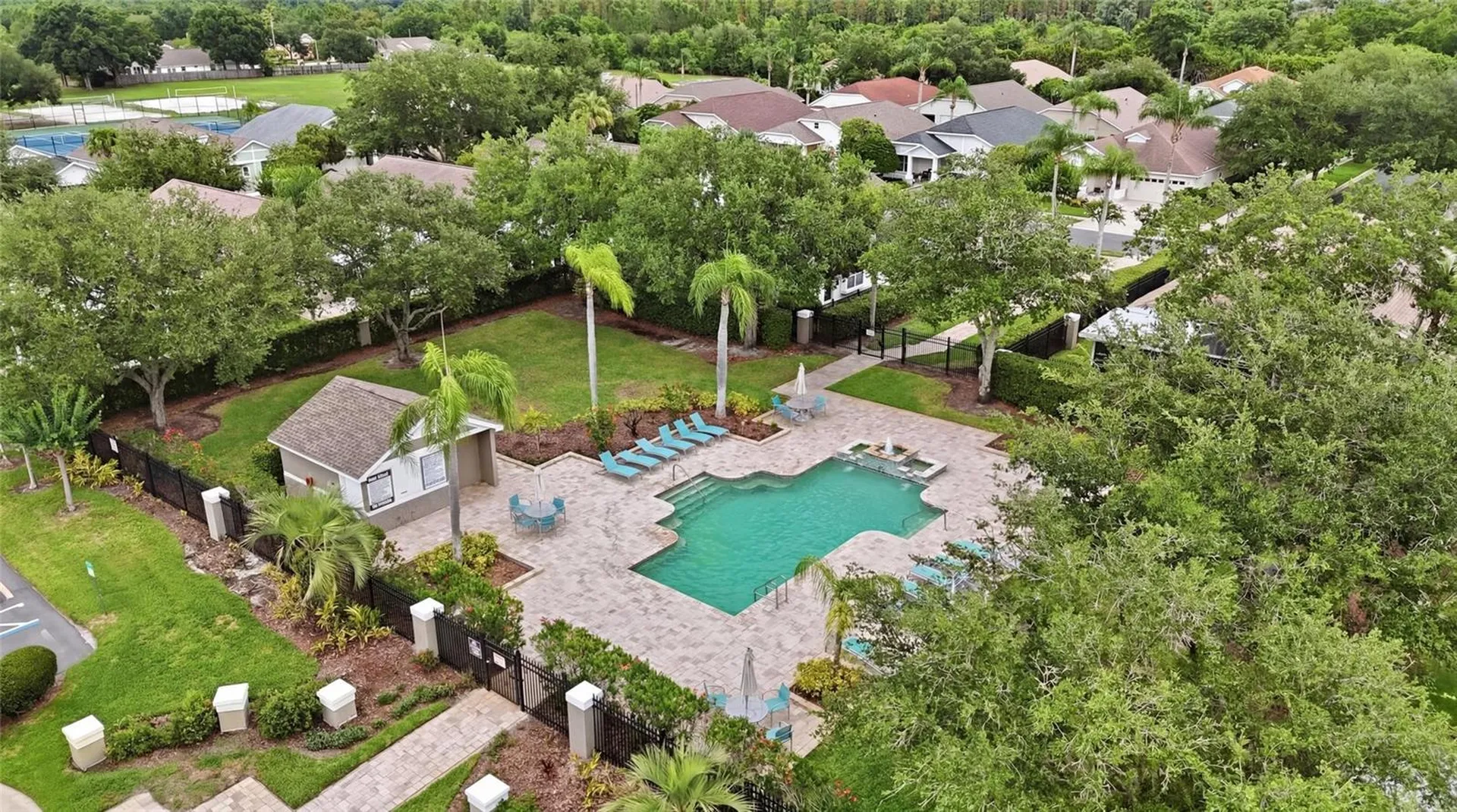 4613 Corsage Drive Lutz FL 33558