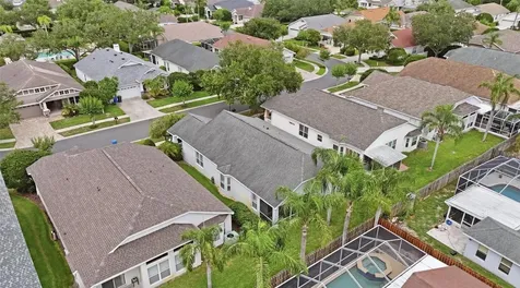4613 Corsage Drive Lutz FL 33558