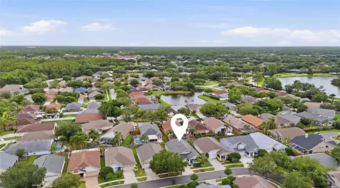 4613 Corsage Drive Lutz FL 33558