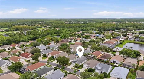 4613 Corsage Drive Lutz FL 33558