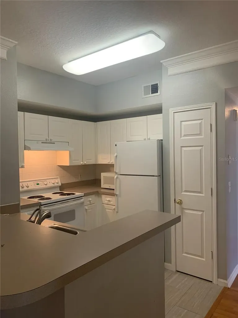 315 Grand Magnolia Avenue Celebration FL 34747