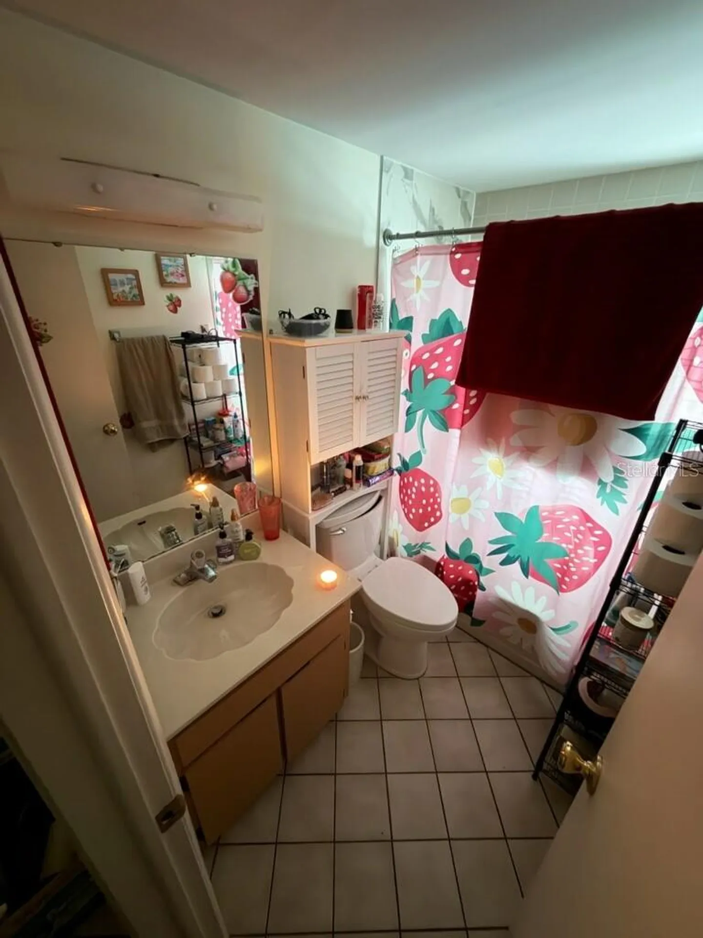 6415 Monterey Boulevard Tampa FL 33625