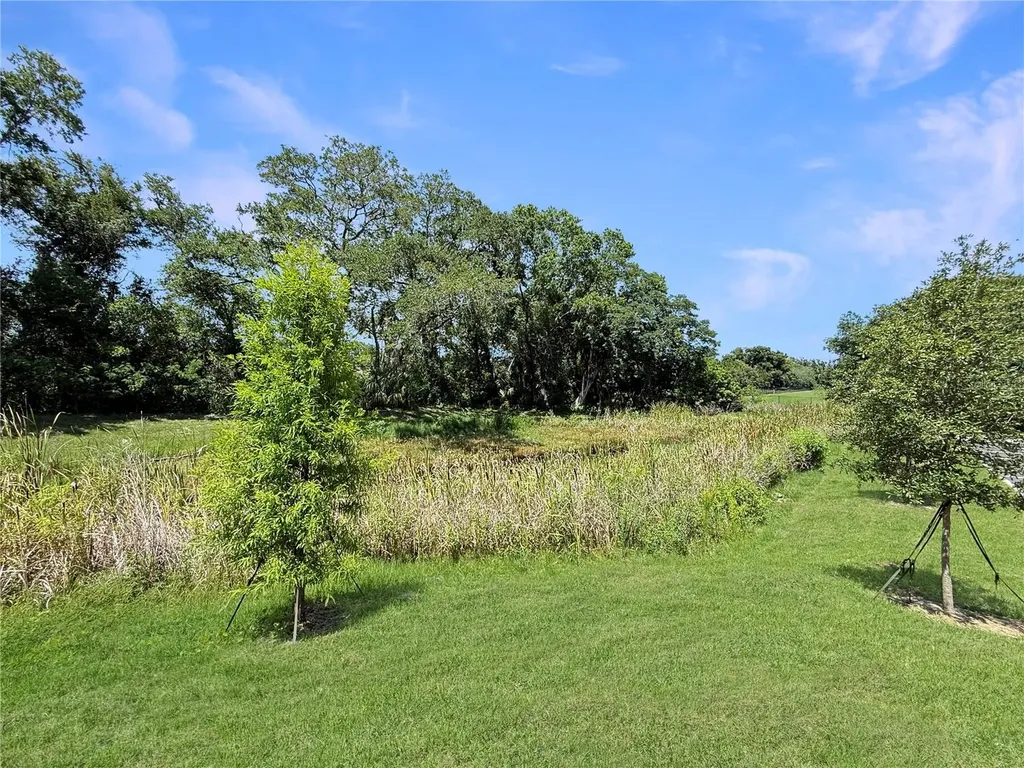 4345 Cambio Gardens Court Tampa FL 33610