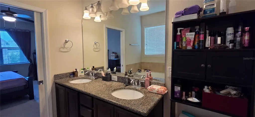 9215 Mountain Magnolia Drive Riverview FL 33578