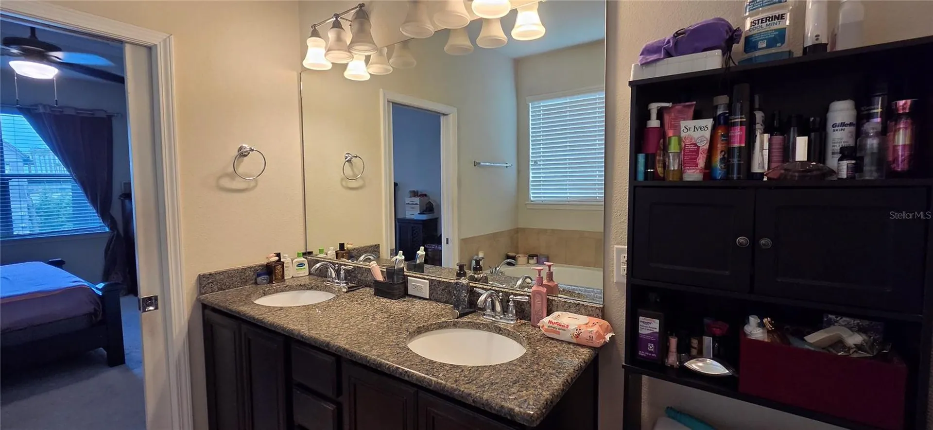 9215 Mountain Magnolia Drive Riverview FL 33578