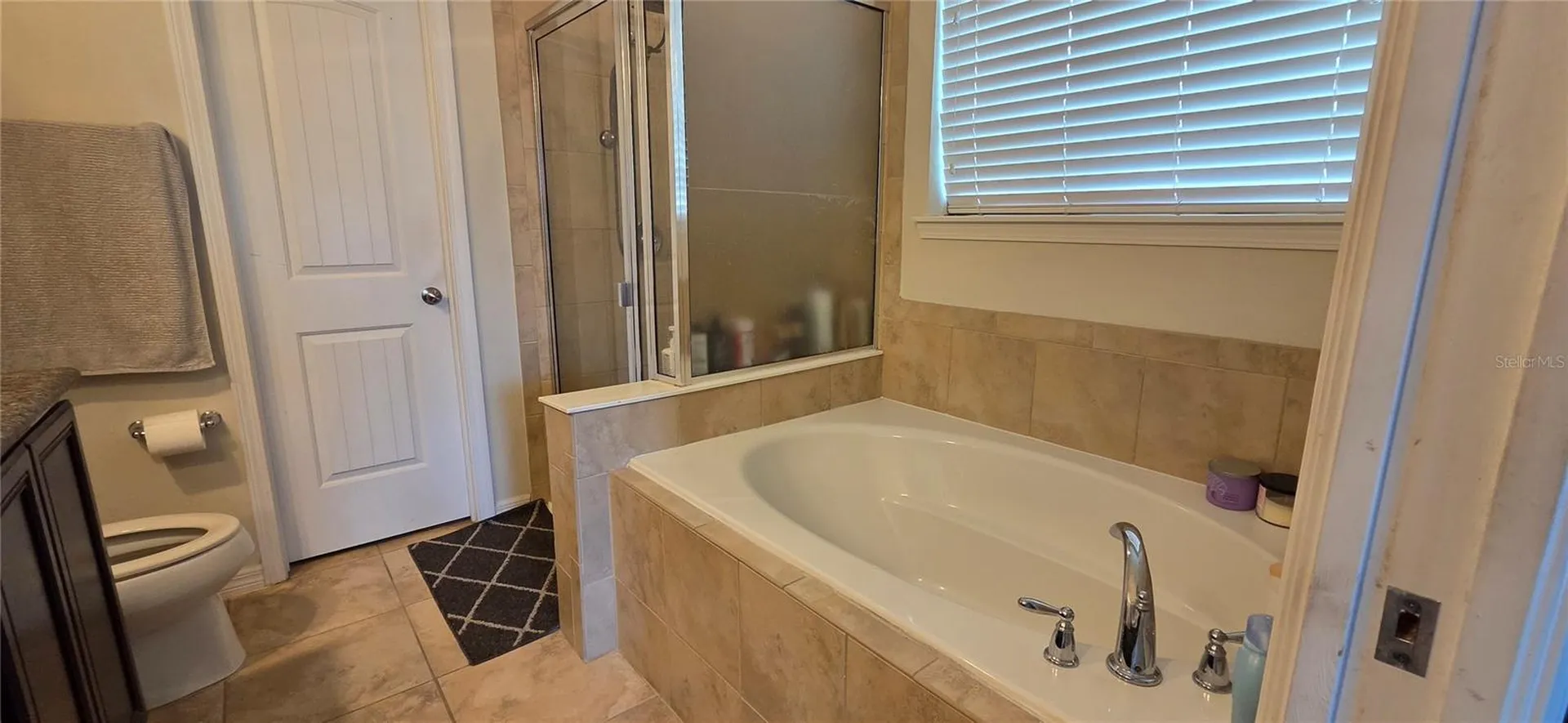 9215 Mountain Magnolia Drive Riverview FL 33578