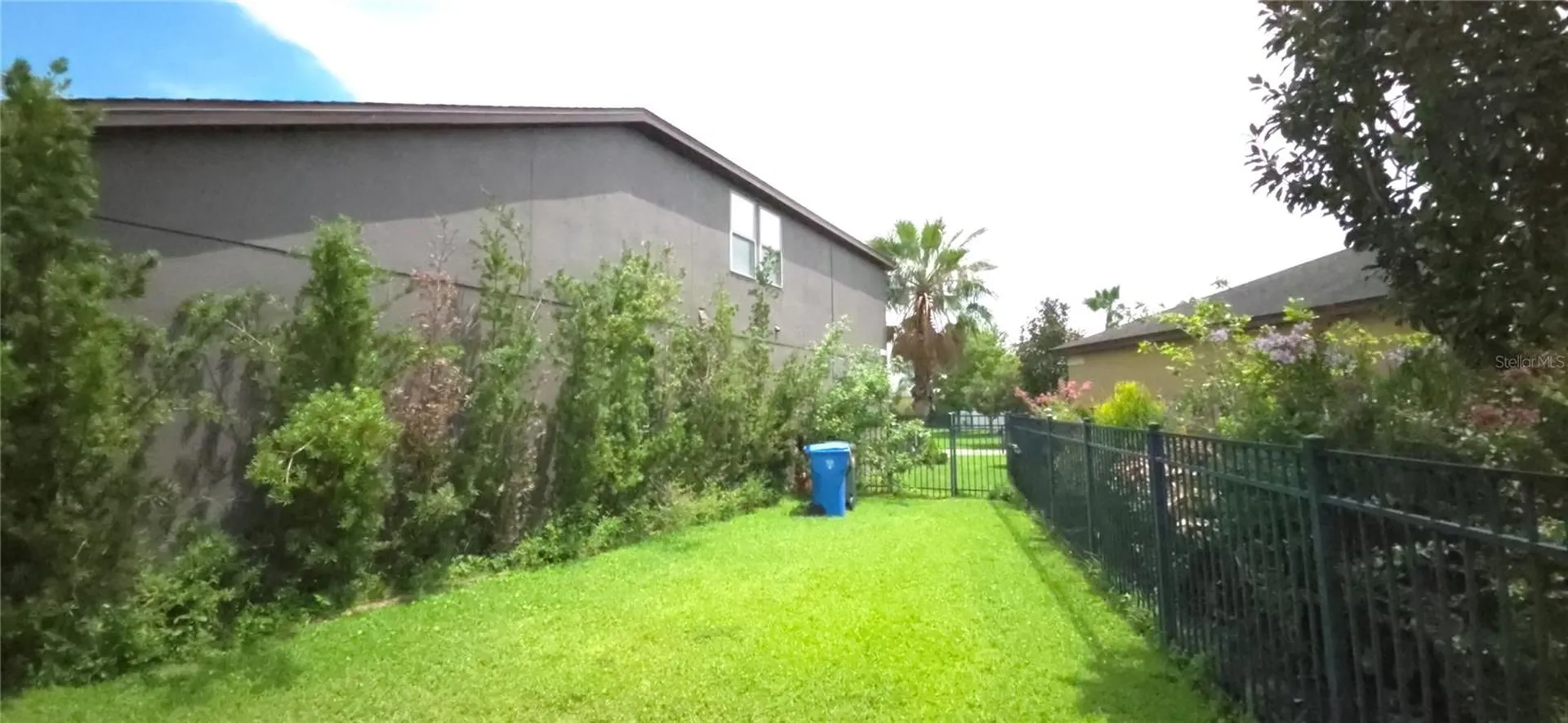 9215 Mountain Magnolia Drive Riverview FL 33578