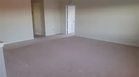 9215 Mountain Magnolia Drive Riverview FL 33578