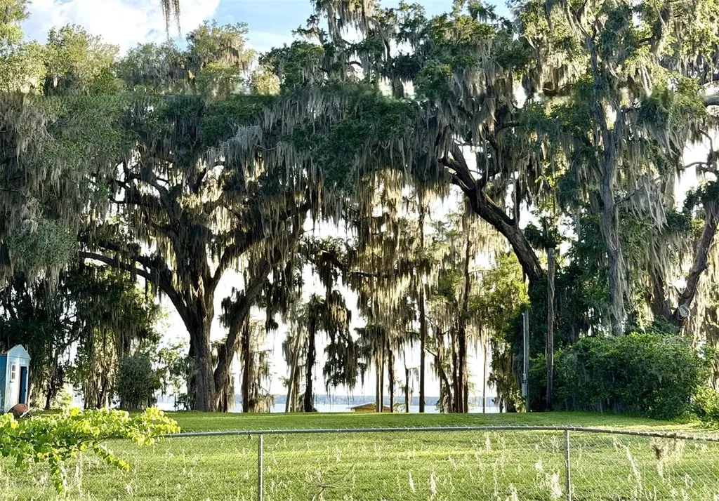 1043 SE County Road 21b Melrose FL 32666